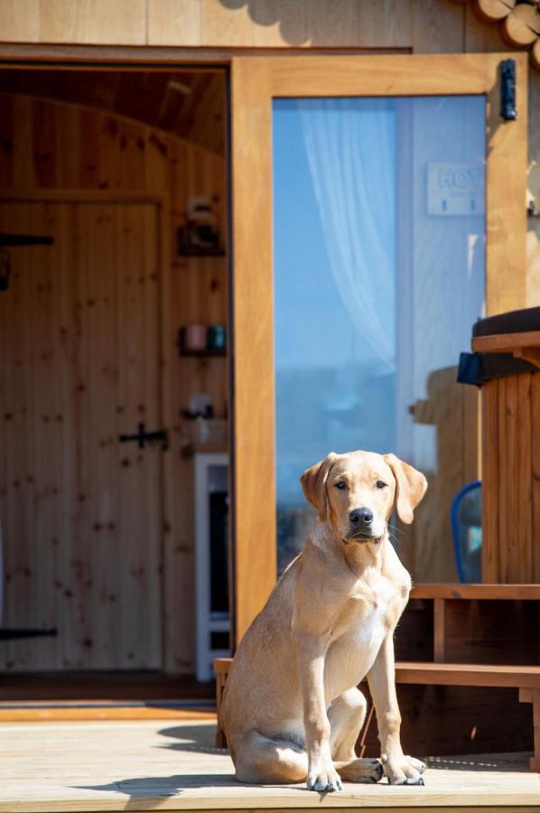 Barnhorn Glamping Villa Hooe Eksteriør billede